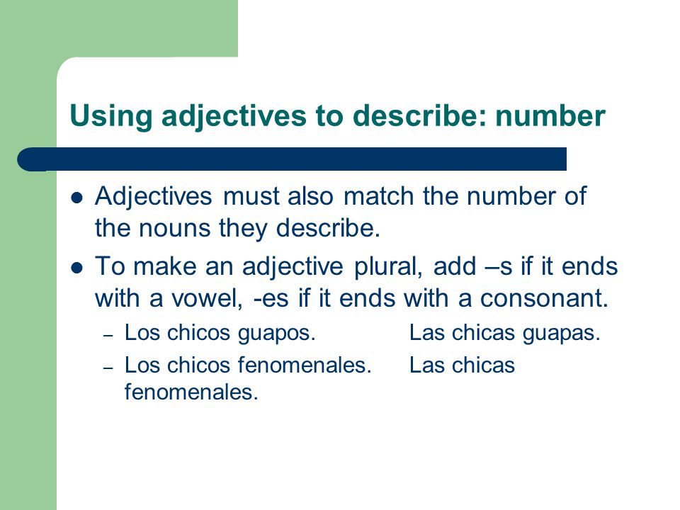 Using adjectives to describe: number Adjectives must also match the number of the nouns they describe.