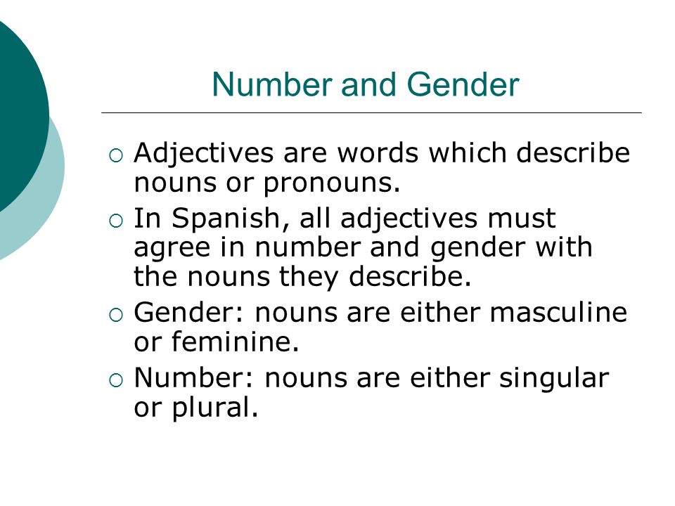Number and Gender  Adjectives are words which describe nouns or pronouns.