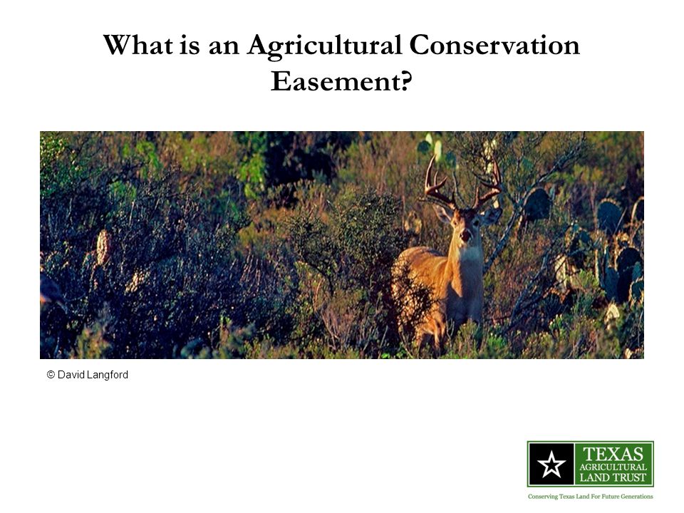 What is an Agricultural Conservation Easement © David Langford
