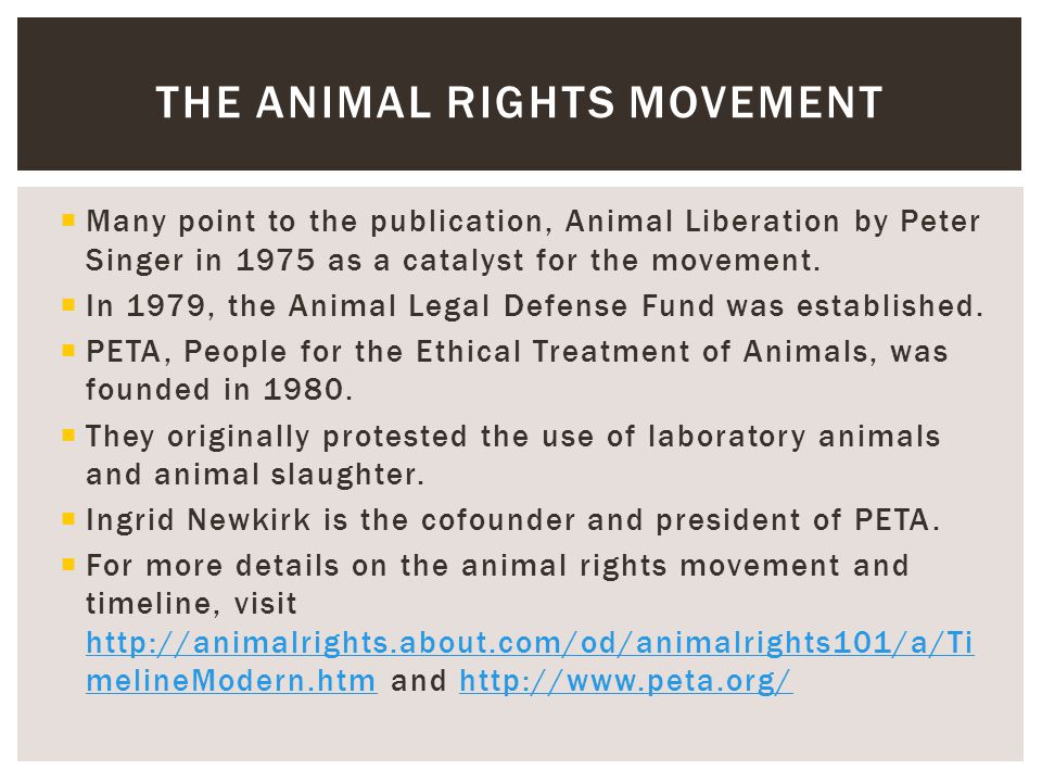 Small Animal Management ANIMAL RIGHTS AND ANIMAL WELFARE Picture taken  from: - ppt download