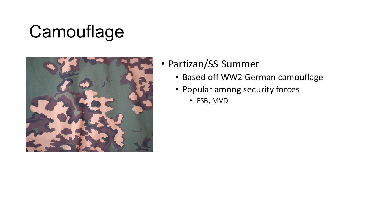 Camouflage Partizan/SS Summer Based off WW2 German camouflage Popular among security forces FSB, MVD