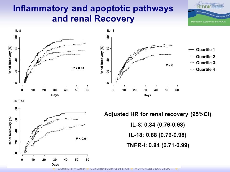  Exemplary Care  Cutting-edge Research  World-class Education  Inflammatory and apoptotic pathways and renal Recovery Adjusted HR for renal recovery (95%CI) IL-8: 0.84 ( ) IL-18: 0.88 ( ) TNFR-I: 0.84 ( )