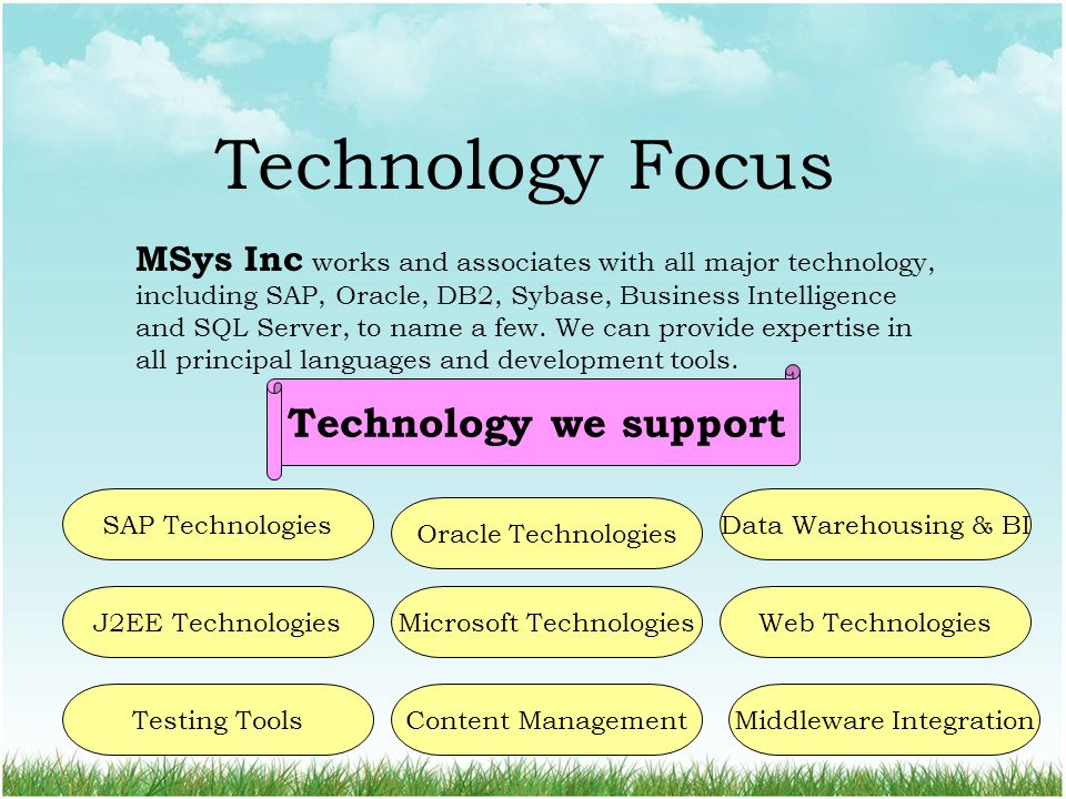 Technology Focus MSys Inc works and associates with all major technology, including SAP, Oracle, DB2, Sybase, Business Intelligence and SQL Server, to name a few.