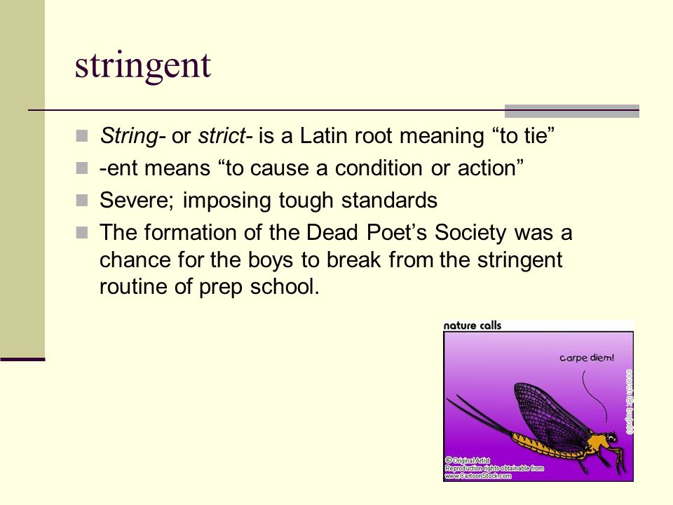 Stringent meaning