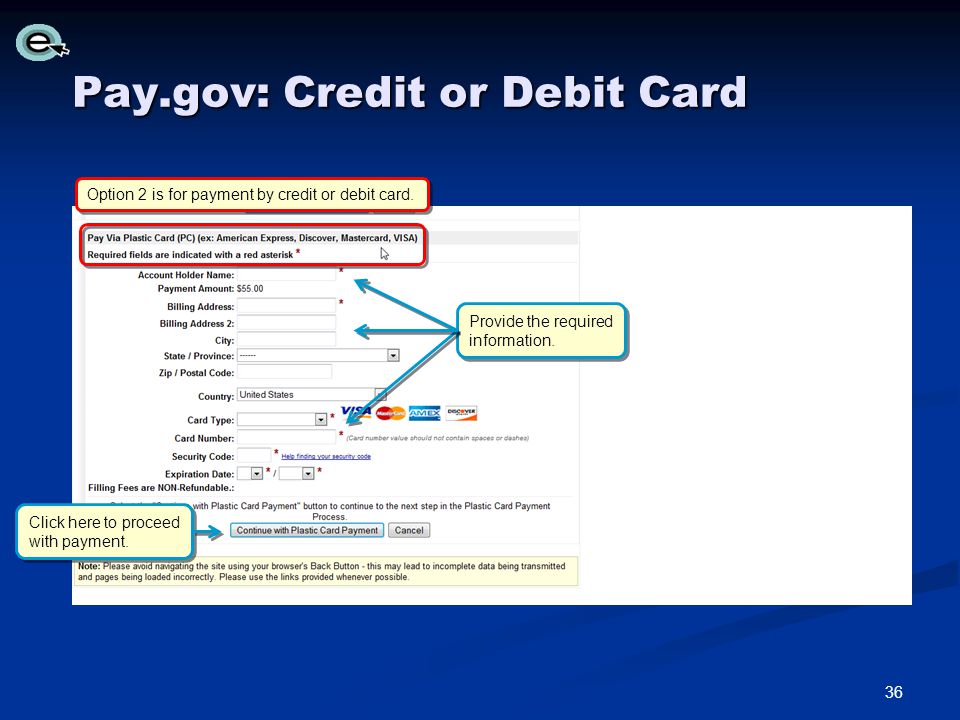 Pay.gov: Credit or Debit Card Option 2 is for payment by credit or debit card.