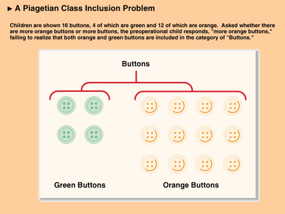 Class inclusion piaget sale