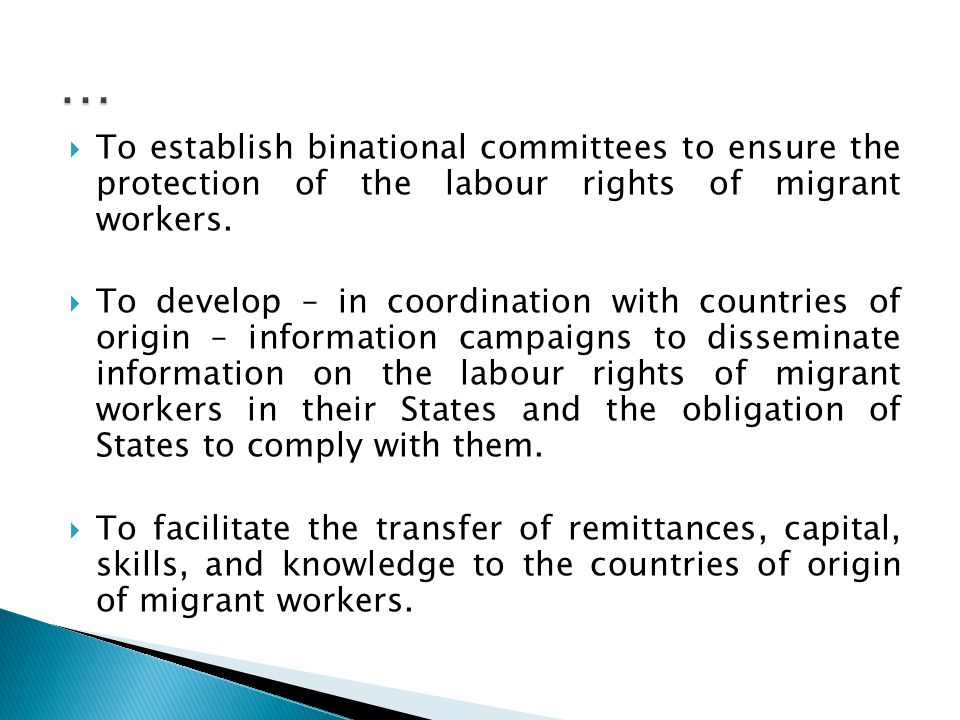  To establish binational committees to ensure the protection of the labour rights of migrant workers.