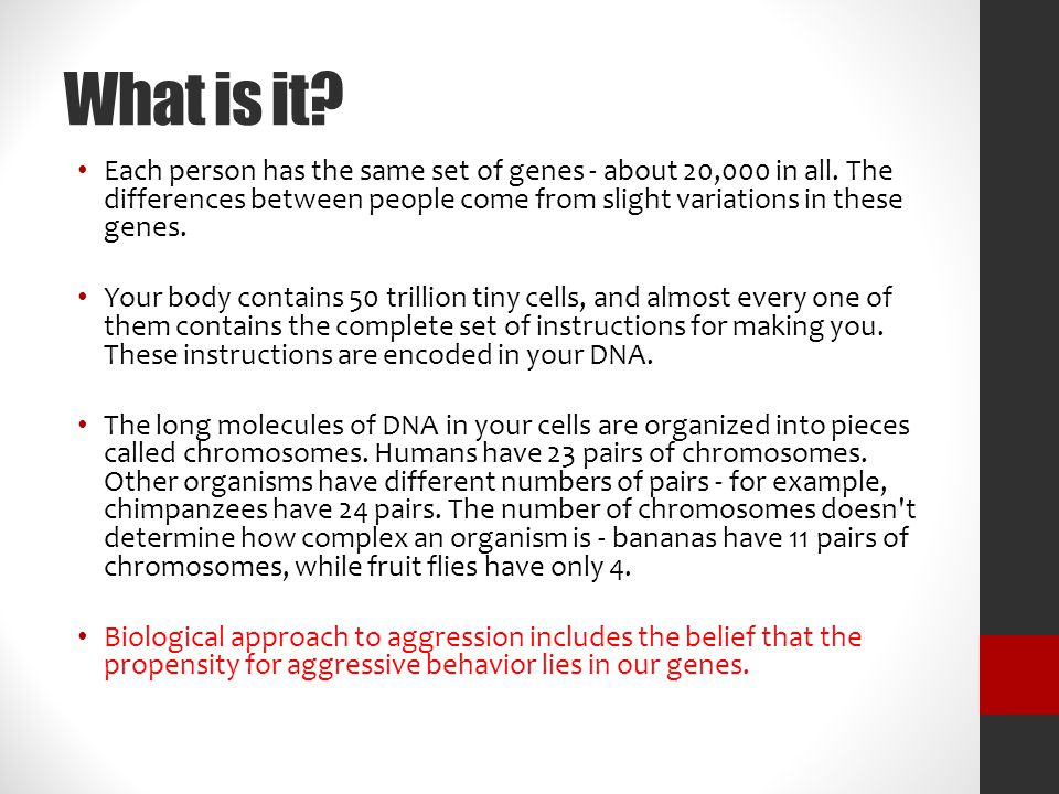 What is it. Each person has the same set of genes - about 20,000 in all.