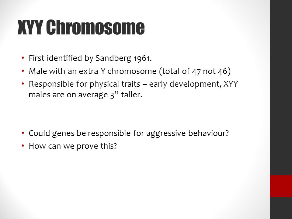 XYY Chromosome First identified by Sandberg 1961.