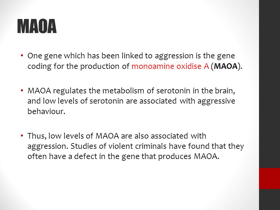 MAOA One gene which has been linked to aggression is the gene coding for the production of monoamine oxidise A (MAOA).