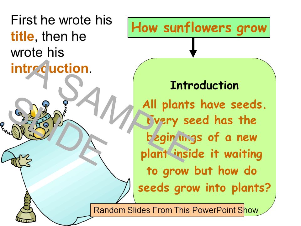 Dusty knew quite a lot about how sunflowers grow and why leaves change colour so he decided to write some explanations about that.