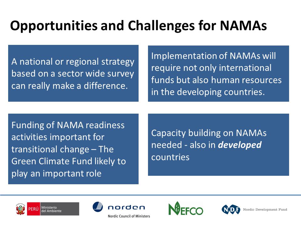 Capacity building on NAMAs needed - also in developed countries Implementation of NAMAs will require not only international funds but also human resources in the developing countries.