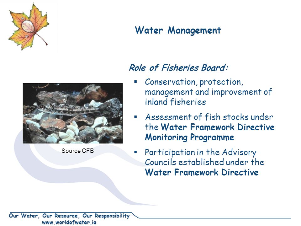Our Water, Our Resource, Our Responsibility   Role of Fisheries Board:  Conservation, protection, management and improvement of inland fisheries  Assessment of fish stocks under the Water Framework Directive Monitoring Programme  Participation in the Advisory Councils established under the Water Framework Directive Water Management Source CFB