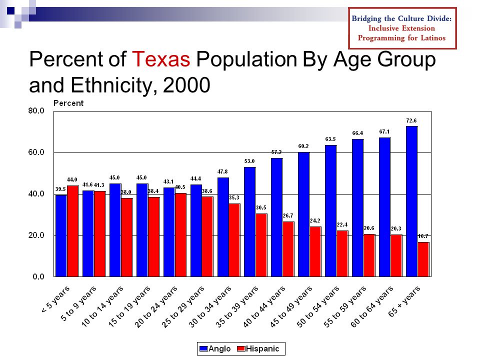 Percent of Texas Population By Age Group and Ethnicity, 2000