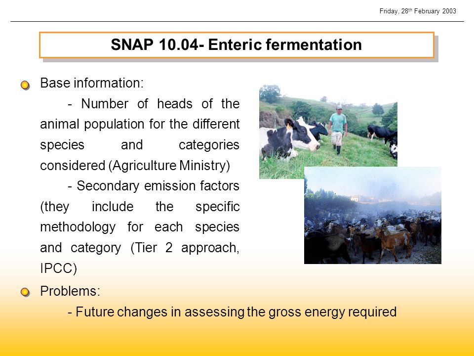 SNAP Enteric fermentation Base information: - Number of heads of the animal population for the different species and categories considered (Agriculture Ministry) - Secondary emission factors (they include the specific methodology for each species and category (Tier 2 approach, IPCC) Problems: - Future changes in assessing the gross energy required Friday, 28 th February 2003
