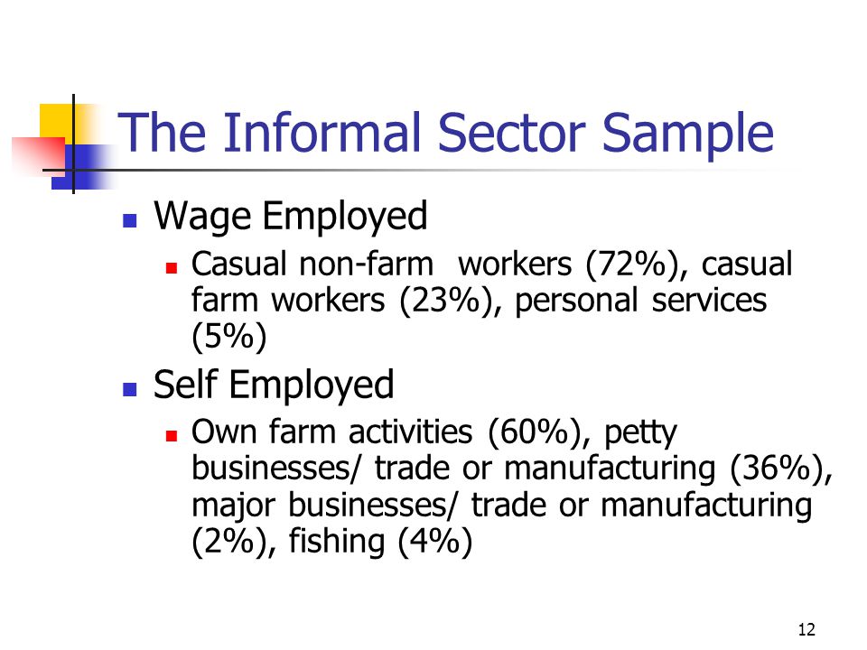 12 The Informal Sector Sample Wage Employed Casual non-farm workers (72%), casual farm workers (23%), personal services (5%) Self Employed Own farm activities (60%), petty businesses/ trade or manufacturing (36%), major businesses/ trade or manufacturing (2%), fishing (4%)