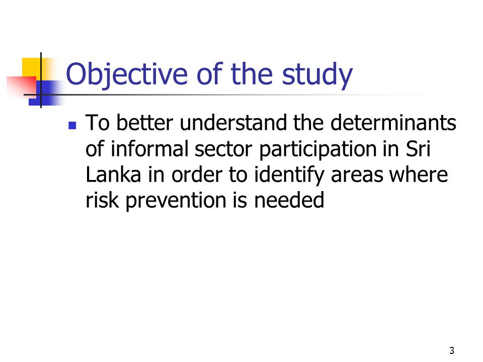 3 Objective of the study To better understand the determinants of informal sector participation in Sri Lanka in order to identify areas where risk prevention is needed
