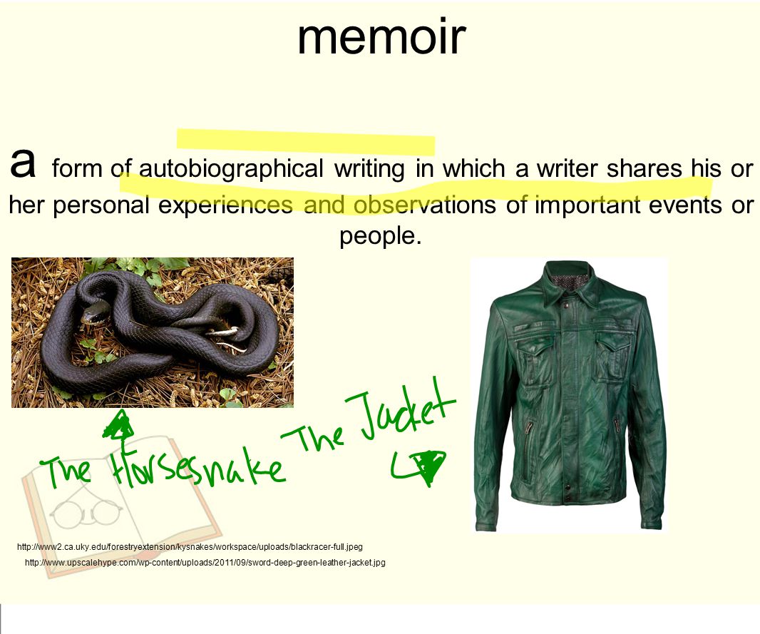 memoir a form of autobiographical writing in which a writer shares his or her personal experiences and observations of important events or people.