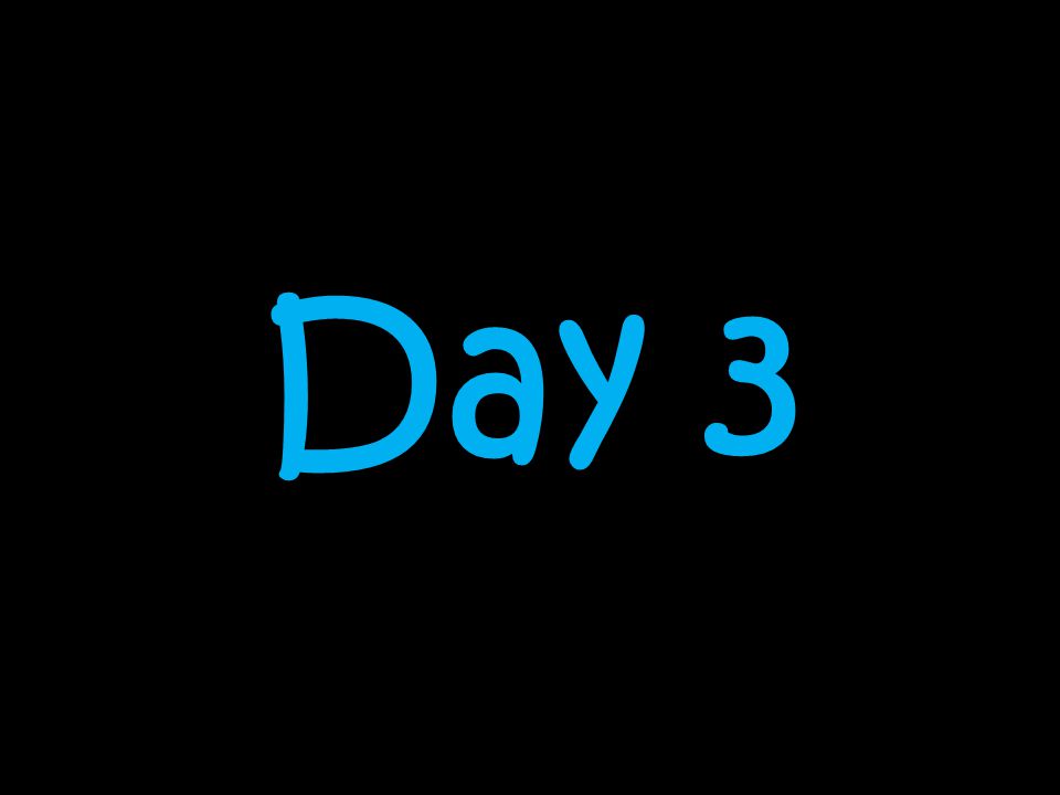 Day 3