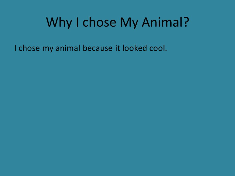 Why I chose My Animal I chose my animal because it looked cool.