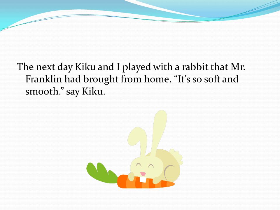 The next day Kiku and I played with a rabbit that Mr.