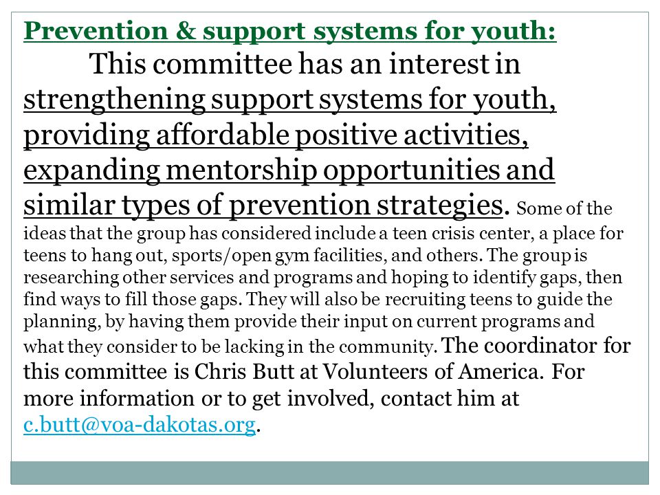 Prevention & support systems for youth: This committee has an interest in strengthening support systems for youth, providing affordable positive activities, expanding mentorship opportunities and similar types of prevention strategies.