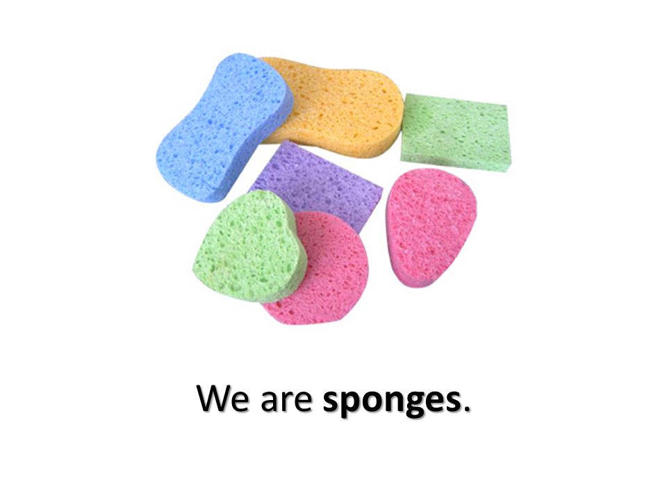 We are sponges.