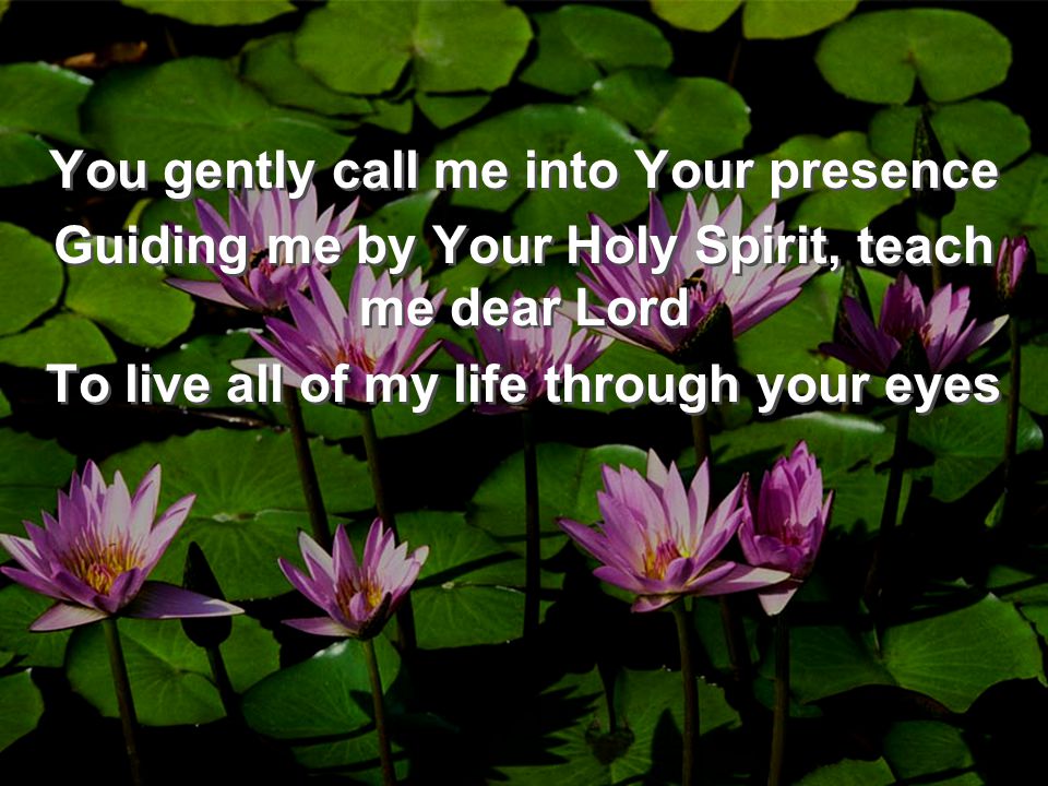 You gently call me into Your presence Guiding me by Your Holy Spirit, teach me dear Lord To live all of my life through your eyes You gently call me into Your presence Guiding me by Your Holy Spirit, teach me dear Lord To live all of my life through your eyes
