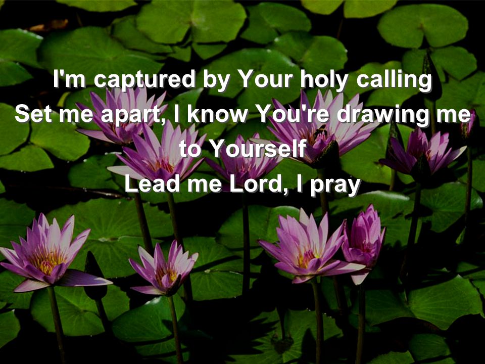 I m captured by Your holy calling Set me apart, I know You re drawing me to Yourself Lead me Lord, I pray I m captured by Your holy calling Set me apart, I know You re drawing me to Yourself Lead me Lord, I pray