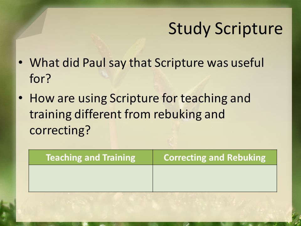 Study Scripture What did Paul say that Scripture was useful for.