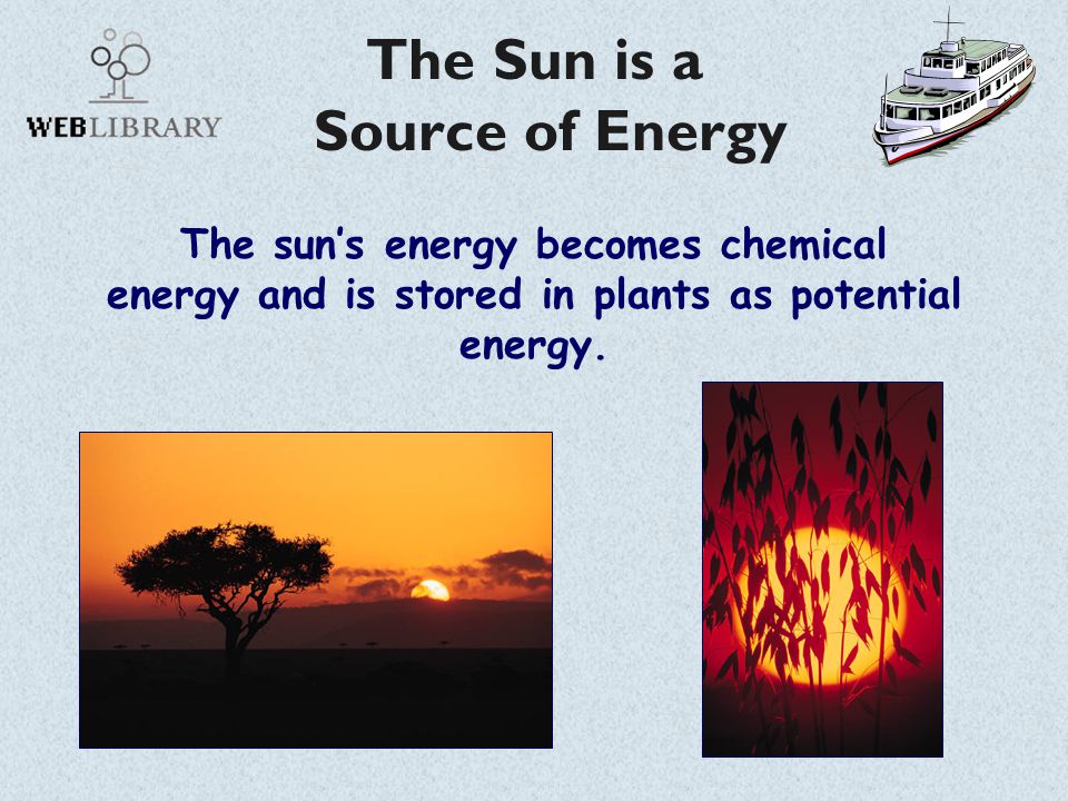 The Sun is a Source of Energy The sun’s energy becomes chemical energy and is stored in plants as potential energy.