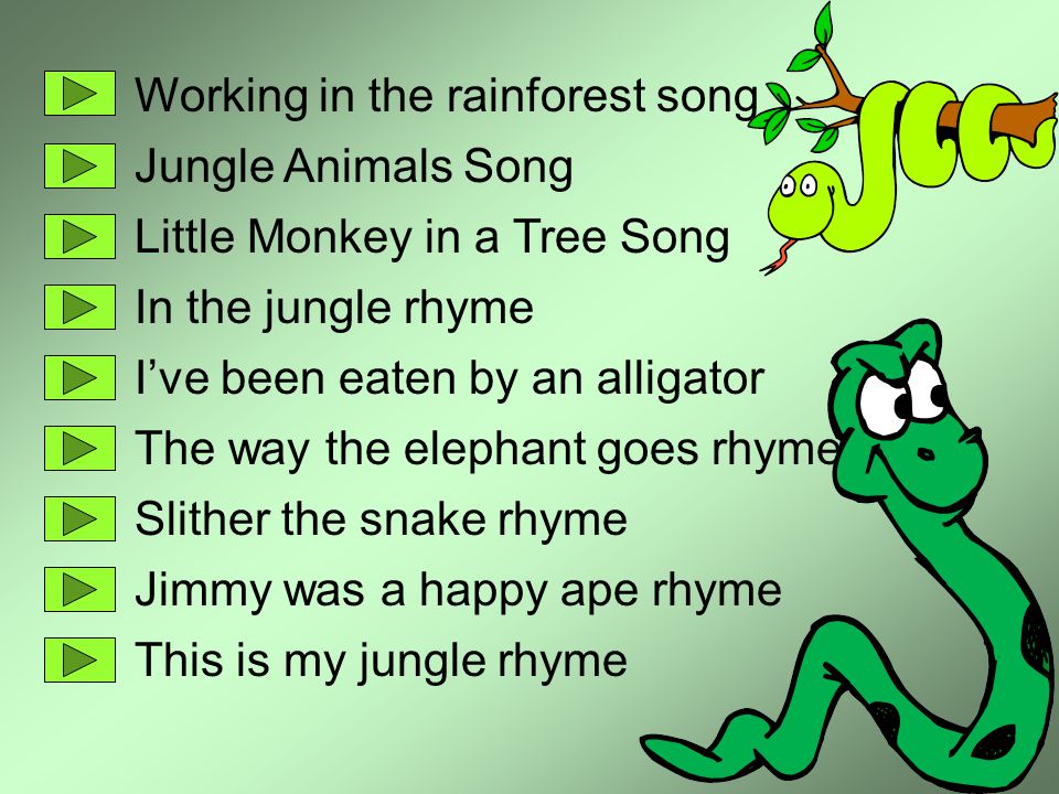 Working in the rainforest song Jungle Animals Song Little Monkey in a Tree Song In the jungle rhyme I’ve been eaten by an alligator The way the elephant goes rhyme Slither the snake rhyme Jimmy was a happy ape rhyme This is my jungle rhyme