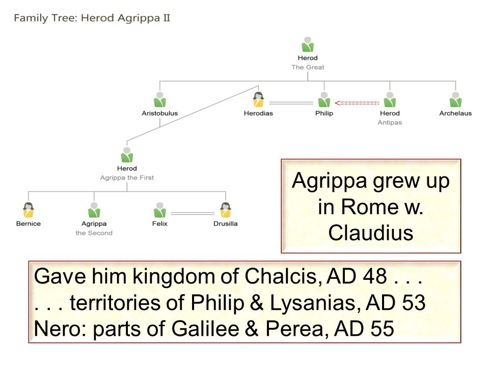 Gave him kingdom of Chalcis, AD