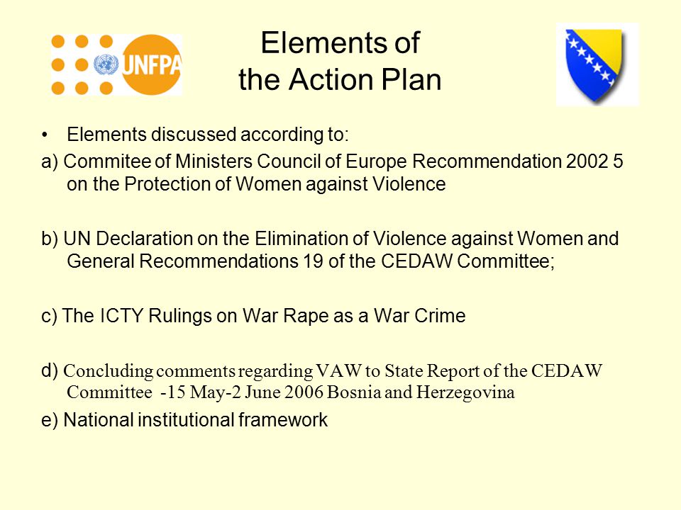 Elements of the Action Plan Elements discussed according to: a) Commitee of Ministers Council of Europe Recommendation on the Protection of Women against Violence b) UN Declaration on the Elimination of Violence against Women and General Recommendations 19 of the CEDAW Committee; c) The ICTY Rulings on War Rape as a War Crime d) Concluding comments regarding VAW to State Report of the CEDAW Committee -15 May-2 June 2006 Bosnia and Herzegovina e) National institutional framework