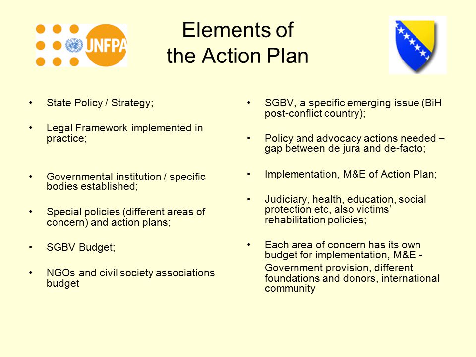 Elements of the Action Plan State Policy / Strategy; Legal Framework implemented in practice; Governmental institution / specific bodies established; Special policies (different areas of concern) and action plans; SGBV Budget; NGOs and civil society associations budget SGBV, a specific emerging issue (BiH post-conflict country); Policy and advocacy actions needed – gap between de jura and de-facto; Implementation, M&E of Action Plan; Judiciary, health, education, social protection etc, also victims’ rehabilitation policies; Each area of concern has its own budget for implementation, M&E - Government provision, different foundations and donors, international community