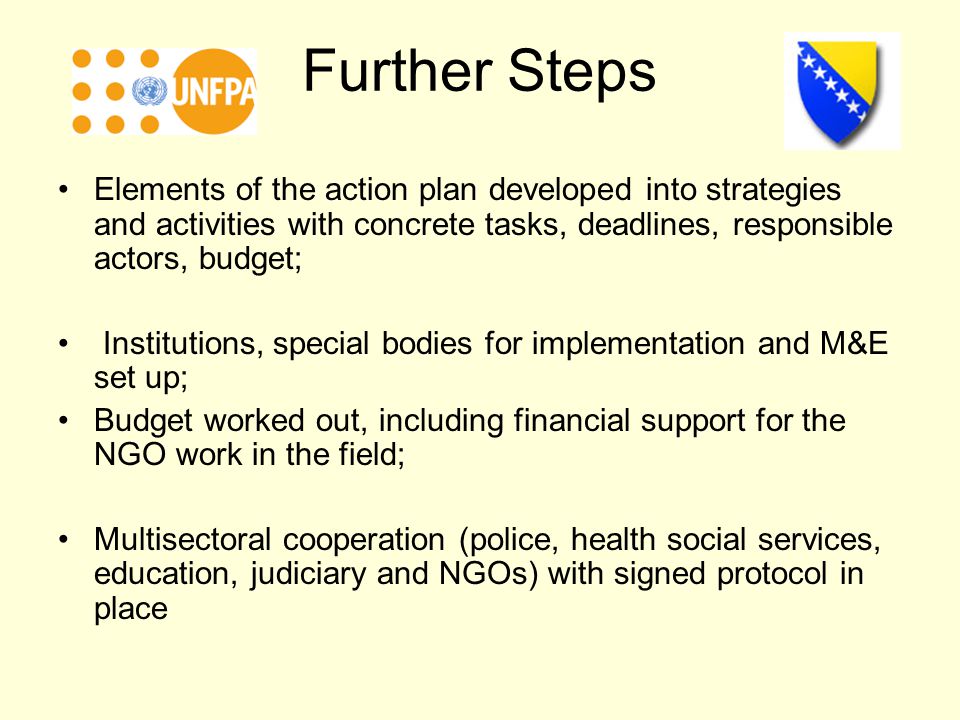 Further Steps Elements of the action plan developed into strategies and activities with concrete tasks, deadlines, responsible actors, budget; Institutions, special bodies for implementation and M&E set up; Budget worked out, including financial support for the NGO work in the field; Multisectoral cooperation (police, health social services, education, judiciary and NGOs) with signed protocol in place