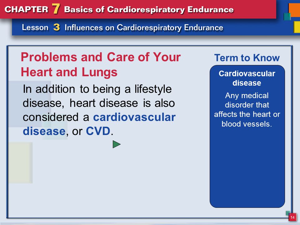 14 Problems and Care of Your Heart and Lungs In addition to being a lifestyle disease, heart disease is also considered a cardiovascular disease, or CVD.