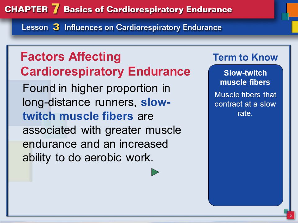5 Factors Affecting Cardiorespiratory Endurance Found in higher proportion in long-distance runners, slow- twitch muscle fibers are associated with greater muscle endurance and an increased ability to do aerobic work.