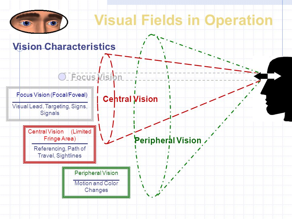 Vision &amp; Driving 90% of your decisions are based on information 
