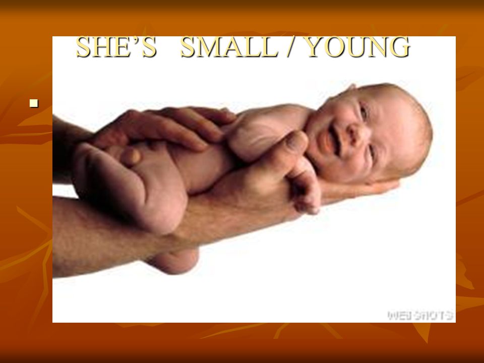 SHE’S SMALL / YOUNG