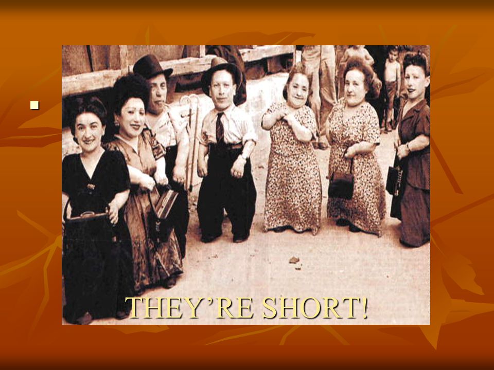 THEY’RE SHORT!