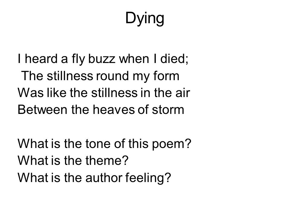 Lyric Poetry Dying By Emily Dickinson. Dying I heard a fly buzz when I  died; The stillness round my form Was like the stillness in the air Between  the. - ppt download