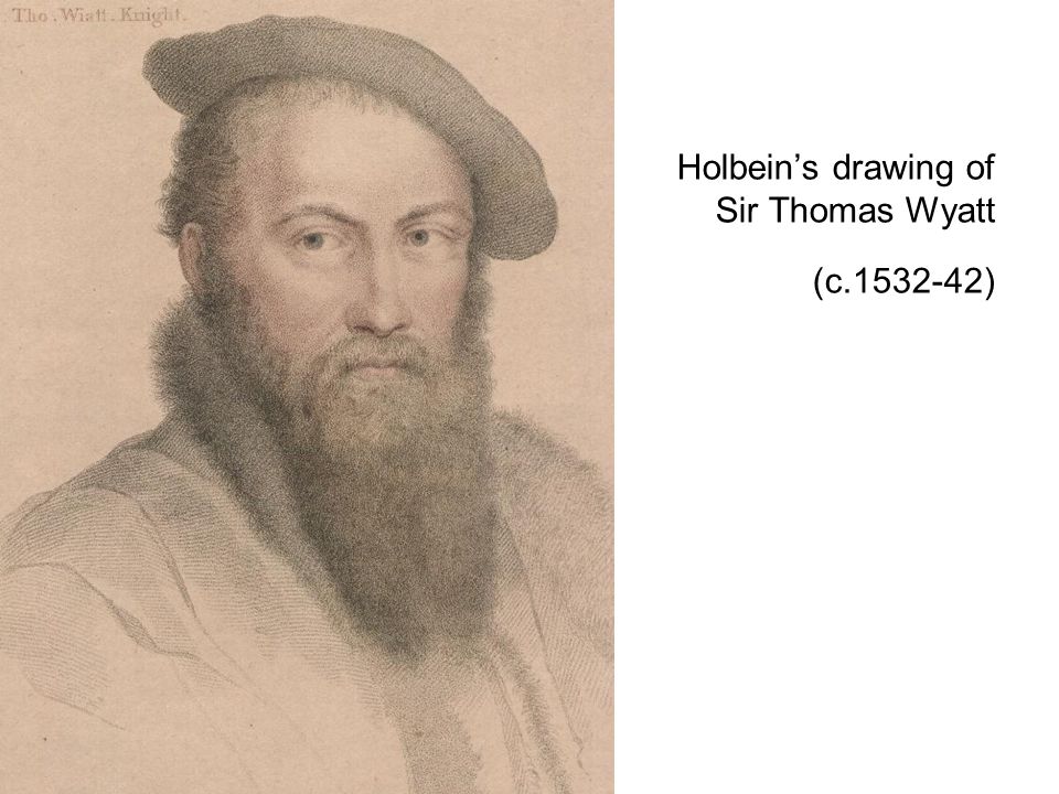 Holbein’s drawing of Sir Thomas Wyatt (c )