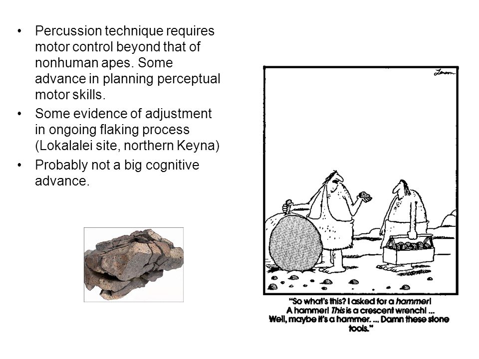 Percussion technique requires motor control beyond that of nonhuman apes.