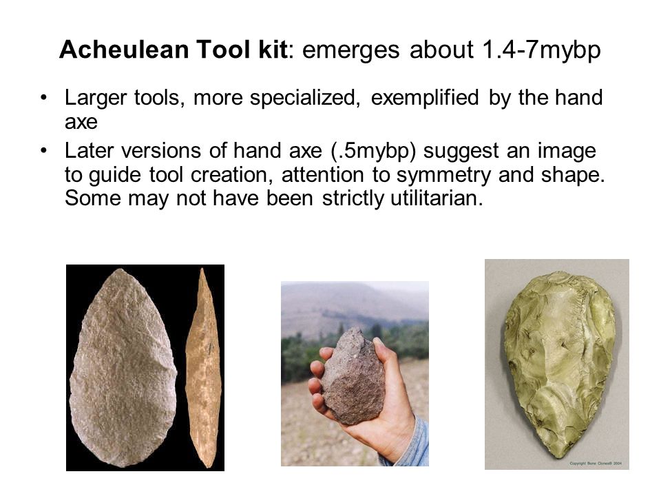 Acheulean Tool kit: emerges about 1.4-7mybp Larger tools, more specialized, exemplified by the hand axe Later versions of hand axe (.5mybp) suggest an image to guide tool creation, attention to symmetry and shape.