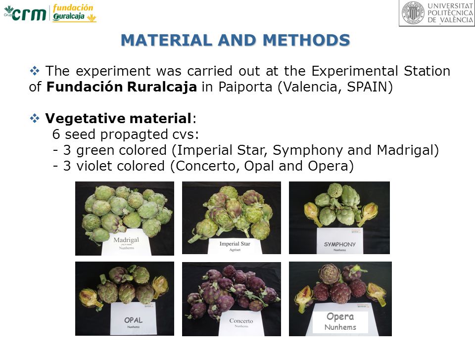 agronomic and productive response to different concentrations of