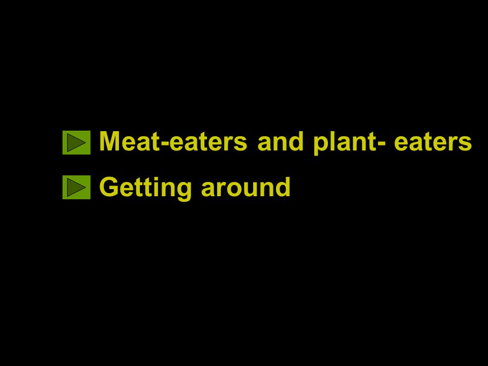 Meat-eaters and plant- eaters Getting around