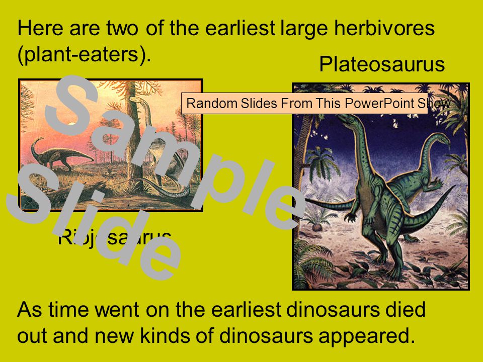 Here are two of the earliest large herbivores (plant-eaters).