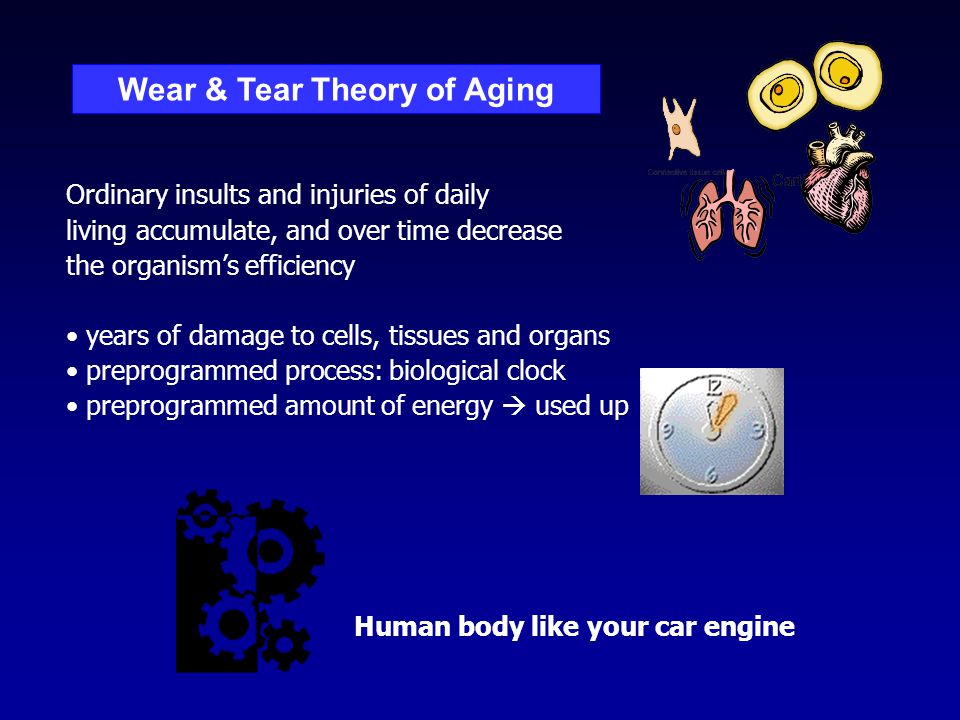 what is wear and tear theory