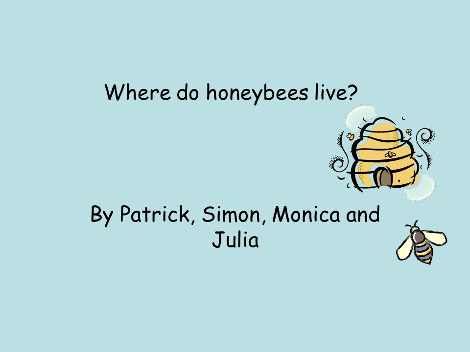 Where do honeybees live By Patrick, Simon, Monica and Julia